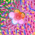 Orange Pink Rose on Roses