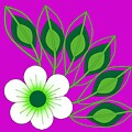 White Flower with Leaves